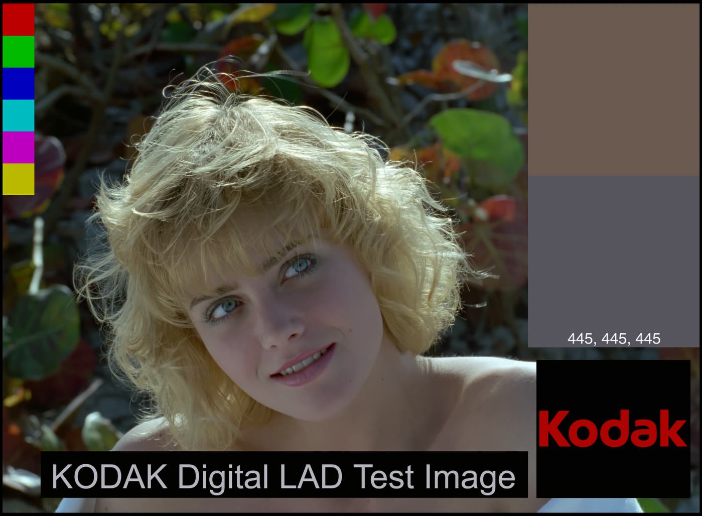 The Kodak Marcie (LAD) test image in log space