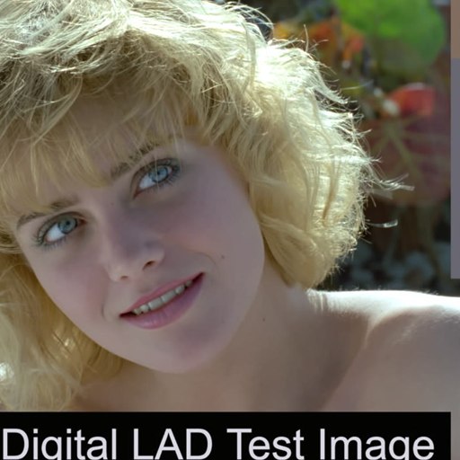 The original sharp image