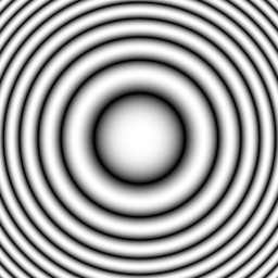 The centre of the zone plate at full size